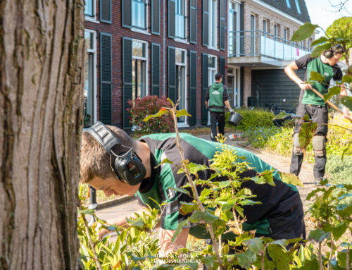 Onderhoudsronde
